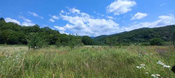 Продам землю для коммерческого использования 75 соток, Фермерское хоз., 16, Георгиевское с