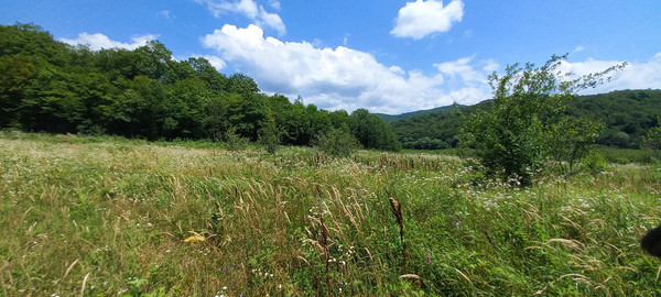 Продам землю для коммерческого использования 75 соток, Фермерское хоз., 16, Георгиевское с