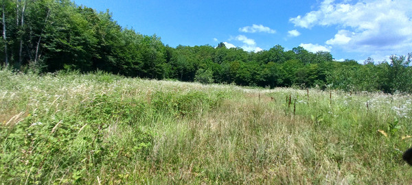 Продам землю для коммерческого использования 75 соток, Фермерское хоз., 16, Георгиевское с