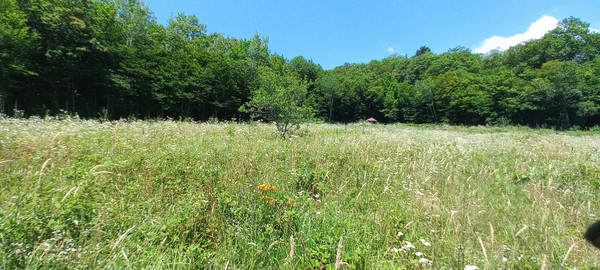 Продам землю для коммерческого использования 75 соток, Фермерское хоз., 16, Георгиевское с