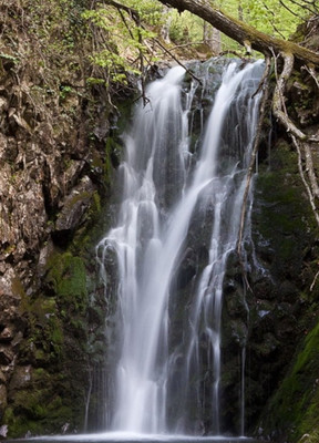 Продам землю для коммерческого использования 75 соток, Фермерское хоз., 16, Георгиевское с