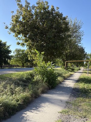 Продам участок 12 соток, ИЖС, Молодежная ул, 77, Укромное с, 0 км от города