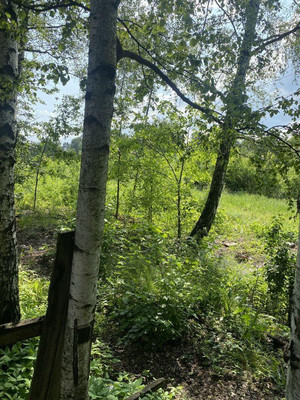 Продам участок 4,5 соток, ИЖС, Одинцовский х, 0 км от города