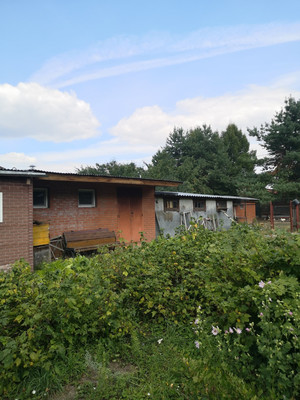 Продам дачу, Новая ул, Сосновка с, 0 км от города