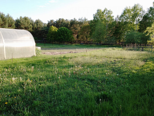 Продам дачу, Новая ул, Сосновка с, 0 км от города