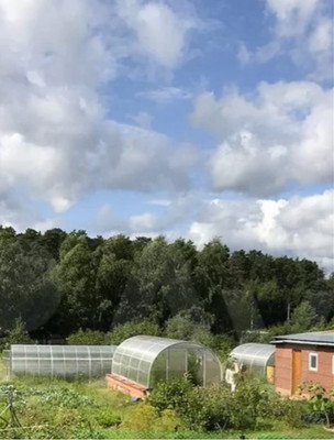 Продам дачу, Новая ул, Сосновка с, 0 км от города