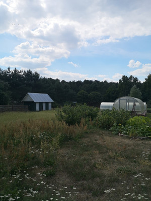 Продам дачу, Новая ул, Сосновка с, 0 км от города