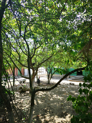 Продам дачу, Новая ул, Сосновка с, 0 км от города