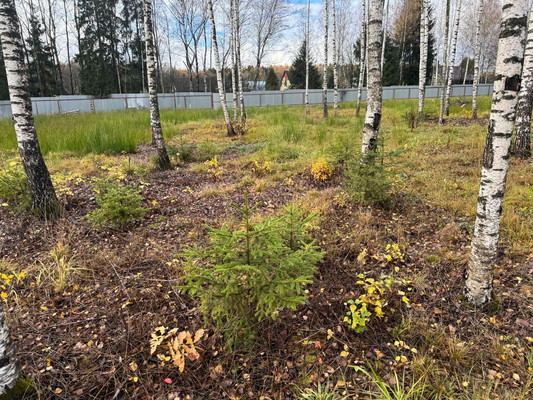 Продам участок 7,5 соток, ИЖС, 339 кв-л, Первомайское п, 0 км от города