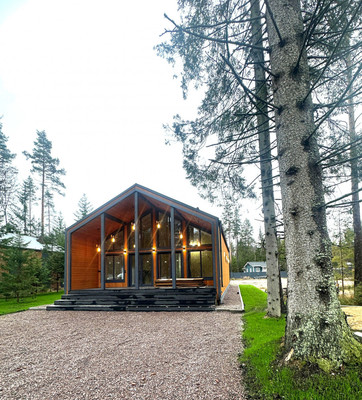 Продам коттедж, 126, Бор д, 0 км от города