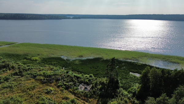 Продам участок 12,48 соток, Фермерское хоз., Мамонтовка п, 0 км от города