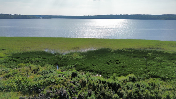 Продам участок 12,48 соток, Фермерское хоз., Мамонтовка п, 0 км от города