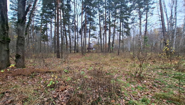 Продам участок 10 соток, Фермерское хоз., Соколова Пустынь д, 0 км от города