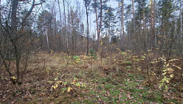 Продам участок 10 соток, Фермерское хоз., Соколова Пустынь д, 0 км от города