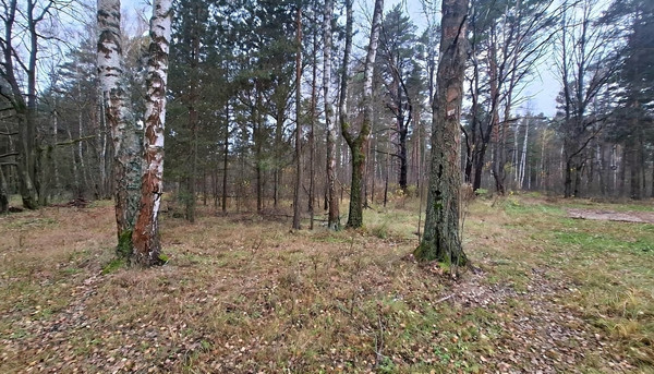 Продам участок 10 соток, Фермерское хоз., Соколова Пустынь д, 0 км от города