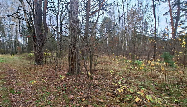 Продам участок 10 соток, Фермерское хоз., Соколова Пустынь д, 0 км от города