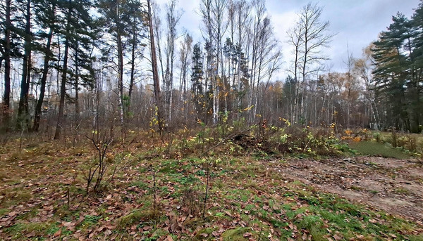 Продам участок 10 соток, Фермерское хоз., Соколова Пустынь д, 0 км от города