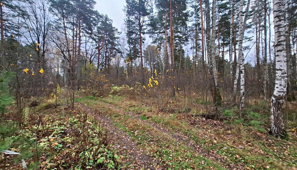 Продам участок 10 соток, Фермерское хоз., Соколова Пустынь д, 0 км от города