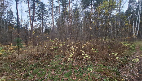 Продам участок 10 соток, Фермерское хоз., Соколова Пустынь д, 0 км от города