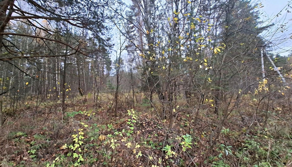 Продам участок 10 соток, Фермерское хоз., Соколова Пустынь д, 0 км от города