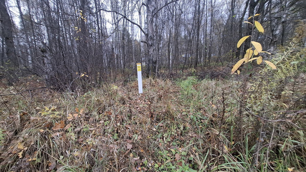 Продам участок 10 соток, Фермерское хоз., Соколова Пустынь д, 0 км от города