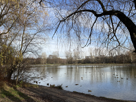 Продам однокомнатную (1-комн.) квартиру, Мартеновская ул, 4, Москва г