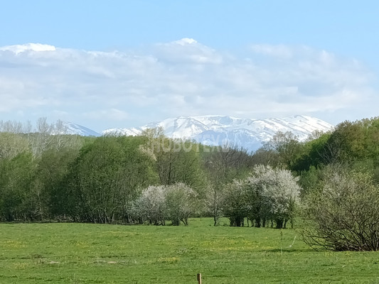 Продам дом, Красная ул, 87, Нефтяная ст-ца, 0 км от города