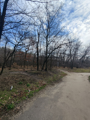 Продам однокомнатную (1-комн.) квартиру, Патриотов пр-кт, 50Б, Воронеж г