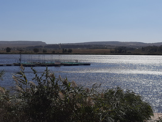 Продам участок 6 соток, Фермерское хоз., Родничок тер. СПК, Ключи с, 0 км от города