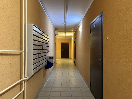 Продам однокомнатную (1-комн.) квартиру, Арсенальная ул, 2, Новое Девяткино д