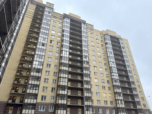 Продам однокомнатную (1-комн.) квартиру, Арсенальная ул, 2, Новое Девяткино д