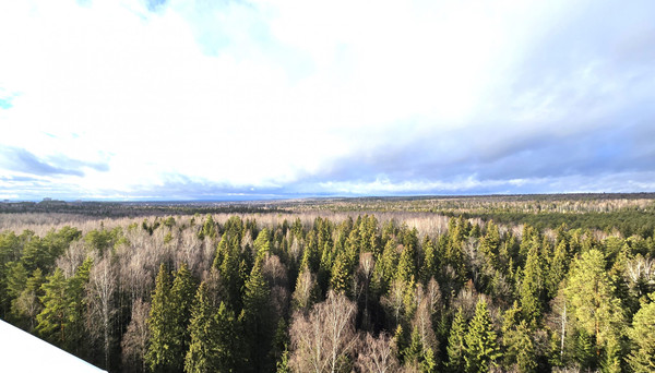 Продам однокомнатную (1-комн.) квартиру, Хабаровская ул, 64, Пермь г