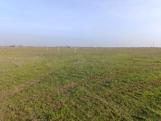 Продам участок 6 соток, Фермерское хоз., Николаевка пгт, 0 км от города