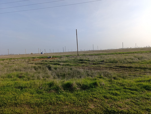 Продам участок 6 соток, Фермерское хоз., Николаевка пгт, 0 км от города