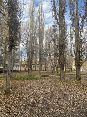 Продам двухкомнатную (2-комн.) квартиру, Ростовская ул, 50/5, Воронеж г