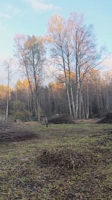 Продам участок 36,1 соток, ИЖС, Ленина пр-кт, 71, Зеленогорск г, 0 км от города