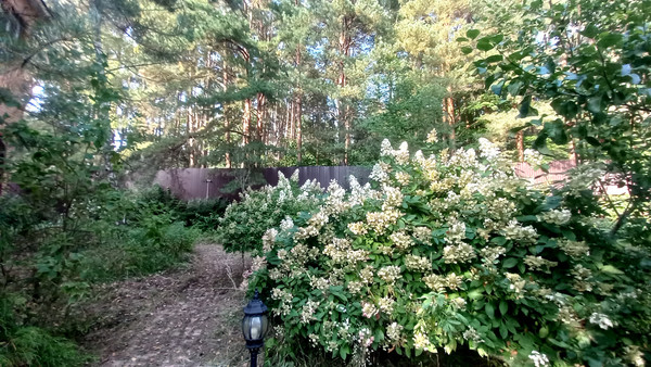 Продам дом, Пригородная ул, 19, Дедовск г, 0 км от города