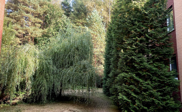 Продам дом, Пригородная ул, 19, Дедовск г, 0 км от города