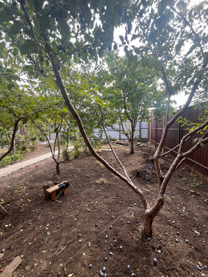 Продам дом, 5-я Залповая ул, 27, Ростов-на-Дону г, 0 км от города