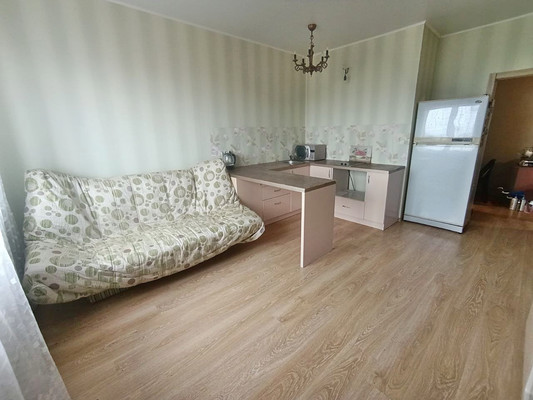 Продам однокомнатную (1-комн.) квартиру, Пушкинская ул, 1к3, Ашукино дп