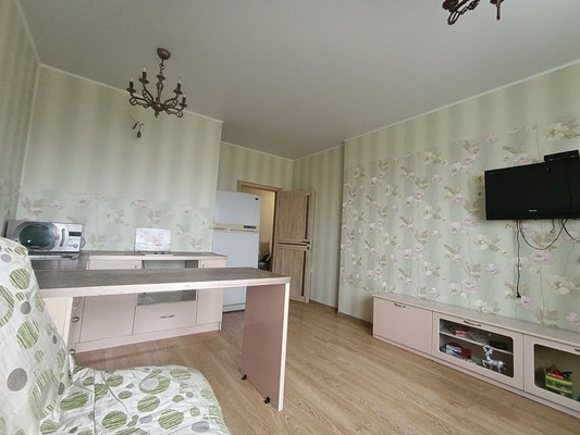 Продам однокомнатную (1-комн.) квартиру, Пушкинская ул, 1к3, Ашукино дп