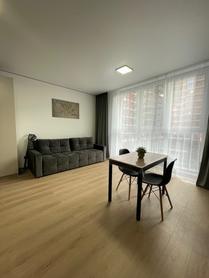 Сдам однокомнатную (1-комн.) квартиру, им. Ивана Беличенко ул, 88, Краснодар г