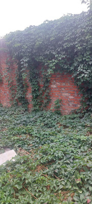 Продам дом, Абинский пер, 3, Краснодар г, 0 км от города