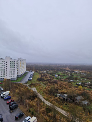 Продам двухкомнатную (2-комн.) квартиру, Ленсоветовский тер, 25, Шушары п