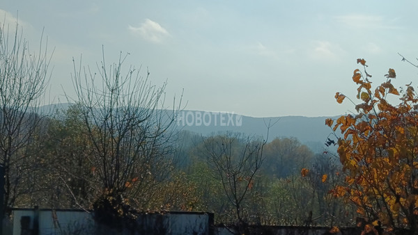 Продам дом, Красная ул, 87, Нефтяная ст-ца, 0 км от города