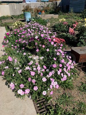 Продам дом, Дмитрия Донского ул, Иркутск г, 0 км от города