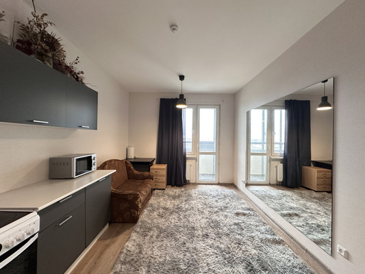 Продам однокомнатную (1-комн.) квартиру, Васнецовский пр-кт, 18, Санкт-Петербург г