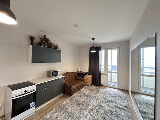 Продам однокомнатную (1-комн.) квартиру, Васнецовский пр-кт, 18, Санкт-Петербург г