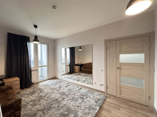 Продам однокомнатную (1-комн.) квартиру, Васнецовский пр-кт, 18, Санкт-Петербург г