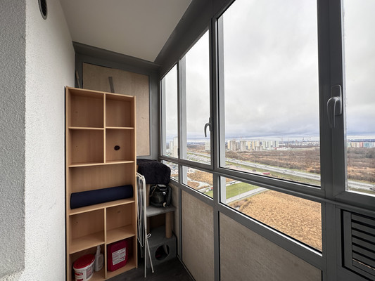 Продам однокомнатную (1-комн.) квартиру, Васнецовский пр-кт, 18, Санкт-Петербург г